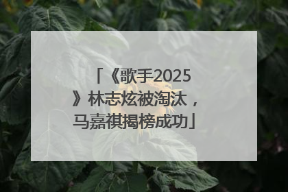 《歌手2025》林志炫被淘汰，马嘉祺揭榜成功