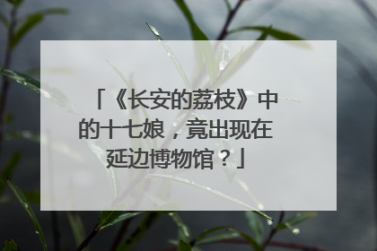 《长安的荔枝》中的十七娘，竟出现在延边博物馆？