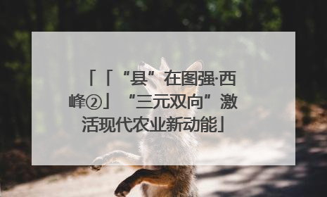 「“县”在图强·西峰②」“三元双向”激活现代农业新动能