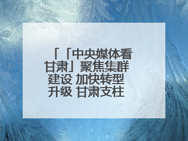 「中央媒体看甘肃」聚焦集群建设 加快转型升级 甘肃支柱产业增势强劲