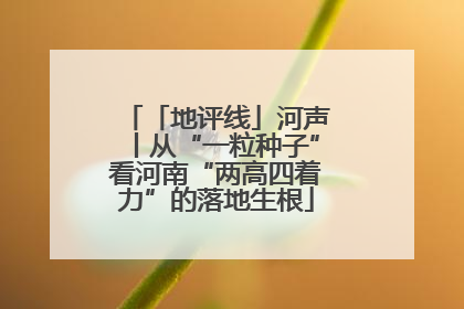 「地评线」河声丨从“一粒种子”看河南“两高四着力”的落地生根
