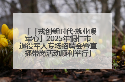 「戎创新时代·就业暖军心」2025年铜仁市退役军人专场招聘会暨直播带岗活动顺利举行