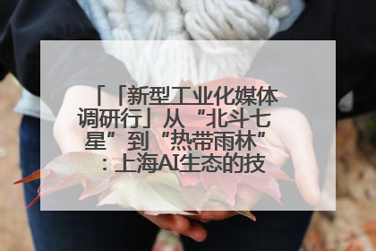 「新型工业化媒体调研行」从“北斗七星”到“热带雨林”：上海AI生态的技术商业共生密码