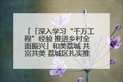 「深入学习“千万工程”经验 推进乡村全面振兴」和美荔城 共富共美 荔城区扎实推进乡村振兴工作