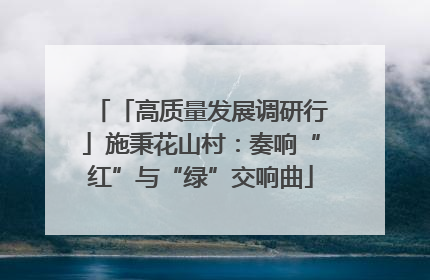 「高质量发展调研行」施秉花山村：奏响“红”与“绿”交响曲