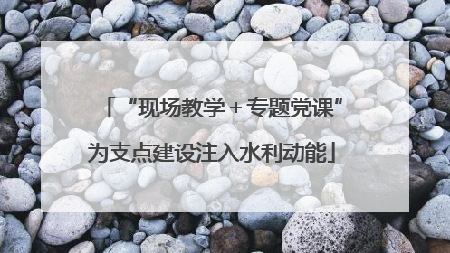 “现场教学＋专题党课”为支点建设注入水利动能