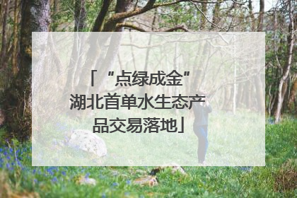 “点绿成金” 湖北首单水生态产品交易落地