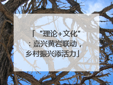 “理论+文化”：嘉兴黄岩联动，乡村振兴添活力