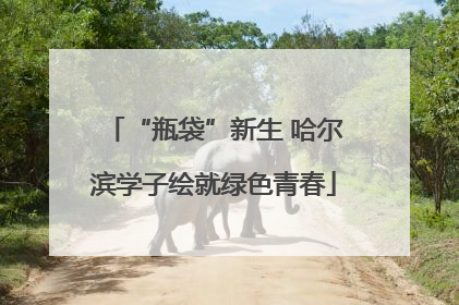 “瓶袋”新生 哈尔滨学子绘就绿色青春