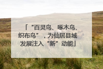 “百灵鸟、啄木鸟、织布鸟”，为仙居县域发展注入“新”动能