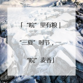 “皖”里有粮｜“三夏”时节，一“皖”麦香