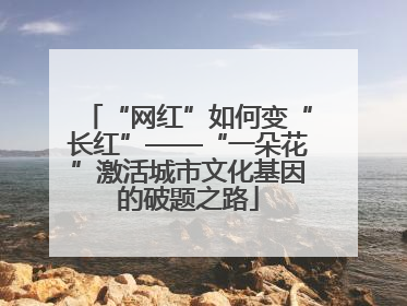 “网红”如何变“长红”——“一朵花”激活城市文化基因的破题之路