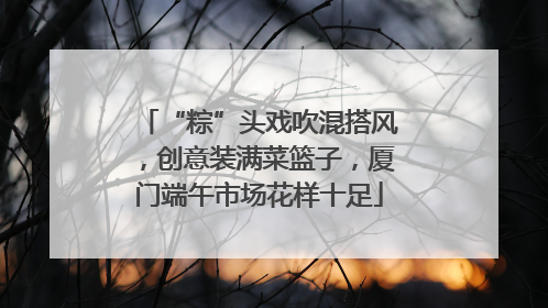 “粽”头戏吹混搭风，创意装满菜篮子，厦门端午市场花样十足