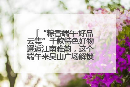 “粽香端午·好品云集”千款特色好物邂逅江南雅韵，这个端午来吴山广场解锁“浙里烟火气”
