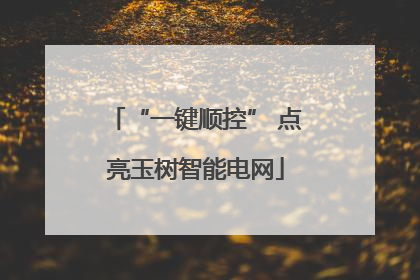 “一键顺控” 点亮玉树智能电网