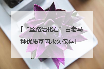 “丝路活化石”古老马种优质基因永久保存
