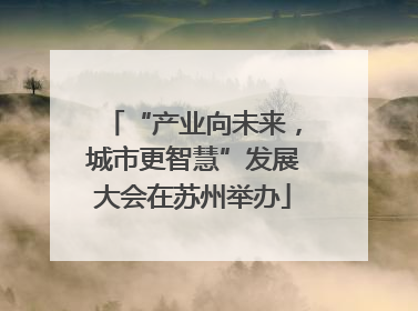 “产业向未来，城市更智慧”发展大会在苏州举办