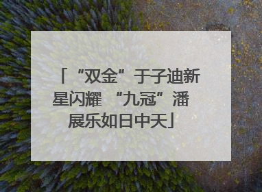 “双金”于子迪新星闪耀 “九冠”潘展乐如日中天