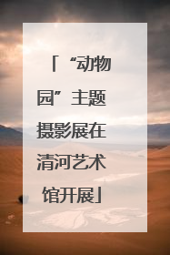 “动物园”主题摄影展在清河艺术馆开展
