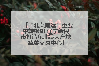 “北菜南运”重要中转枢纽 辽宁新民市打造东北最大产地蔬菜交易中心