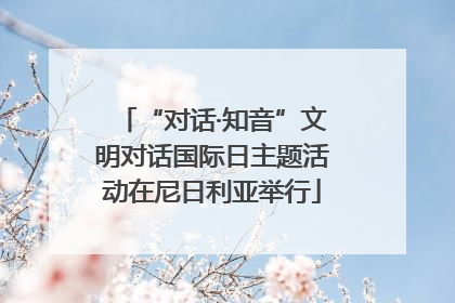“对话·知音”文明对话国际日主题活动在尼日利亚举行