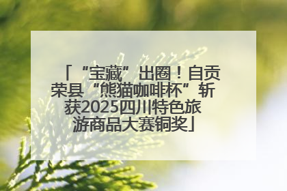 “宝藏”出圈！自贡荣县“熊猫咖啡杯”斩获2025四川特色旅游商品大赛铜奖