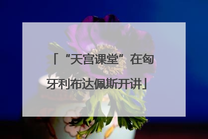 “天宫课堂”在匈牙利布达佩斯开讲