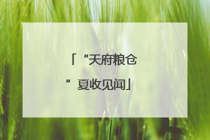 “天府粮仓”夏收见闻