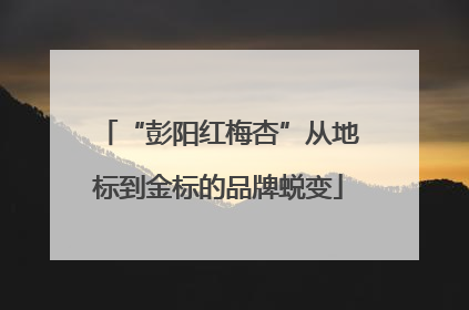 “彭阳红梅杏”从地标到金标的品牌蜕变