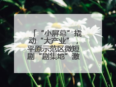 “小屏幕”撬动“大产业”，平原示范区微短剧“剧集地”激活文化新经济