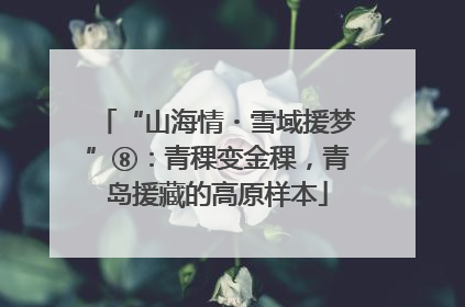 “山海情・雪域援梦”⑧：青稞变金稞，青岛援藏的高原样本