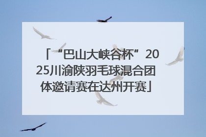 “巴山大峡谷杯”2025川渝陕羽毛球混合团体邀请赛在达州开赛