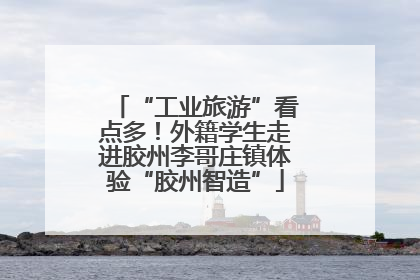 “工业旅游”看点多！外籍学生走进胶州李哥庄镇体验“胶州智造”