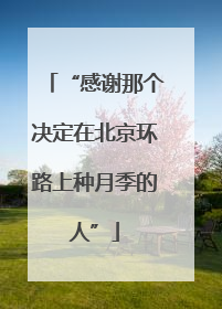 “感谢那个决定在北京环路上种月季的人”