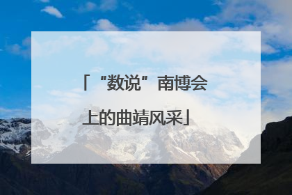 “数说”南博会上的曲靖风采