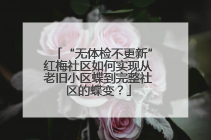 “无体检不更新”红梅社区如何实现从老旧小区蝶到完整社区的蝶变？