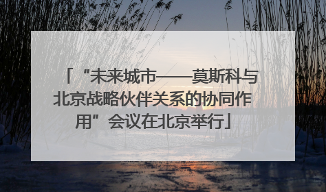 “未来城市——莫斯科与北京战略伙伴关系的协同作用”会议在北京举行