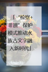 “检察+非遗”保护模式推动水族古文字融入新时代
