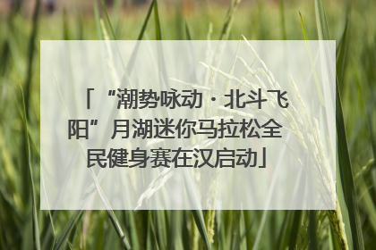 “潮势咏动・北斗飞阳”月湖迷你马拉松全民健身赛在汉启动