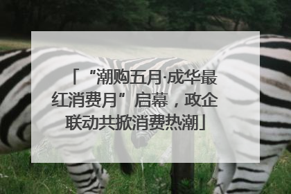 “潮购五月·成华最红消费月”启幕，政企联动共掀消费热潮