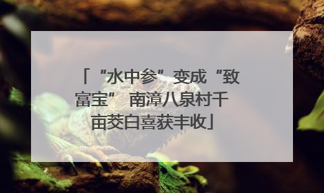 “水中参”变成“致富宝” 南漳八泉村千亩茭白喜获丰收