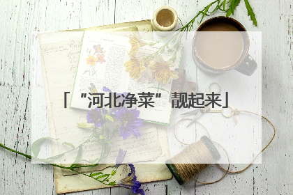 “河北净菜”靓起来