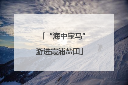 “海中宝马”游进霞浦盐田