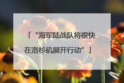 “海军陆战队将很快在洛杉矶展开行动”