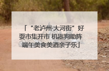 “老泸州·大河街”好耍市集开市 机器狗助阵端午美食美酒亲子乐