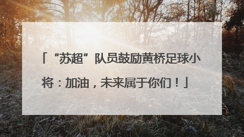 “苏超”队员鼓励黄桥足球小将：加油，未来属于你们！