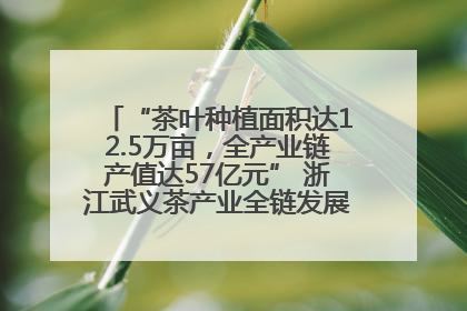 “茶叶种植面积达12.5万亩，全产业链产值达57亿元” 浙江武义茶产业全链发展“加速度”
