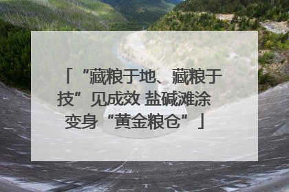 “藏粮于地、藏粮于技”见成效 盐碱滩涂变身“黄金粮仓”