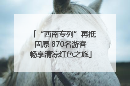 “西南专列”再抵固原 870名游客畅享清凉红色之旅