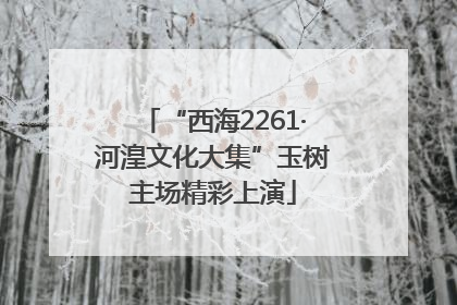 “西海2261·河湟文化大集”玉树主场精彩上演